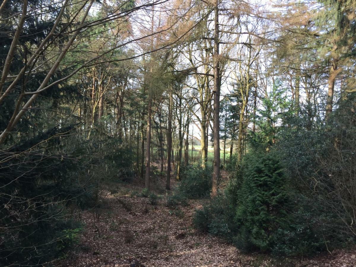 Landgoed De Heezeberg Vila Diever Exterior foto