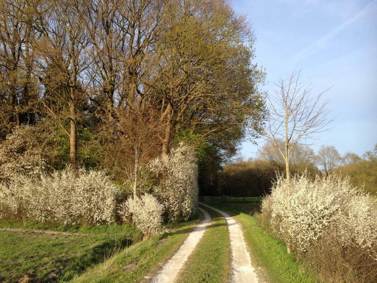 Landgoed De Heezeberg Vila Diever Exterior foto