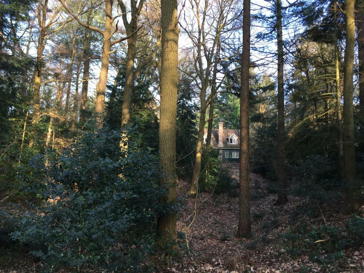 Landgoed De Heezeberg Vila Diever Exterior foto